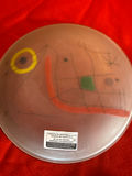 Joan Miró Glass Decorative Plate - thumbnail 2 of 2