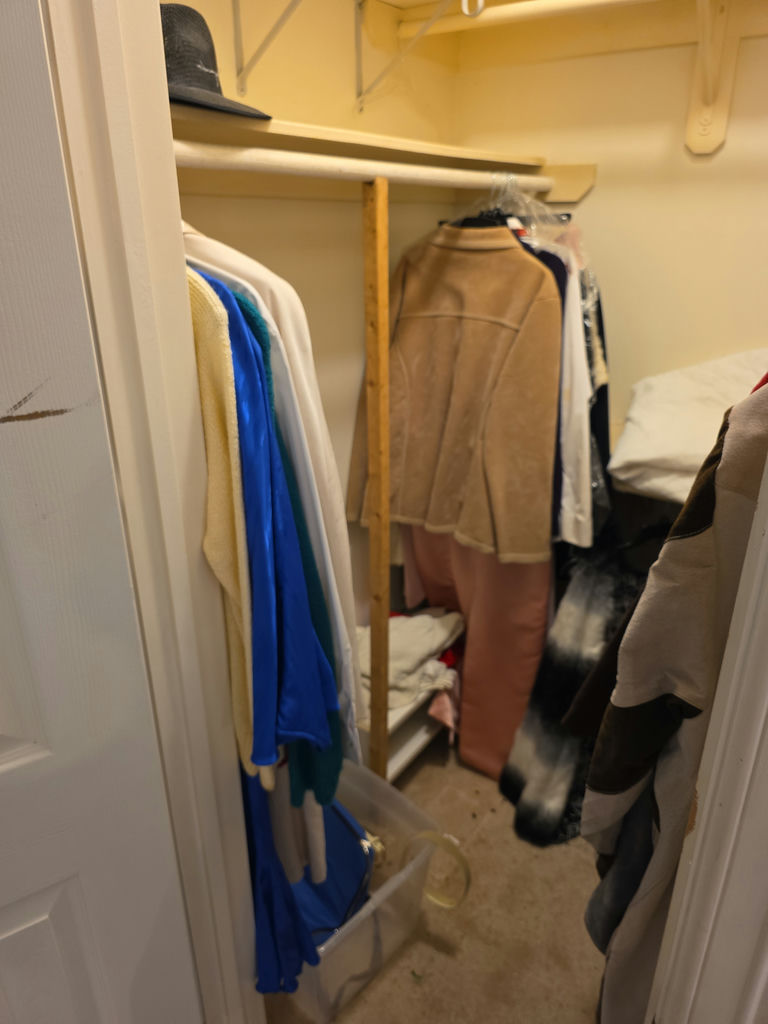 Women's Clothes - image 2 of 3