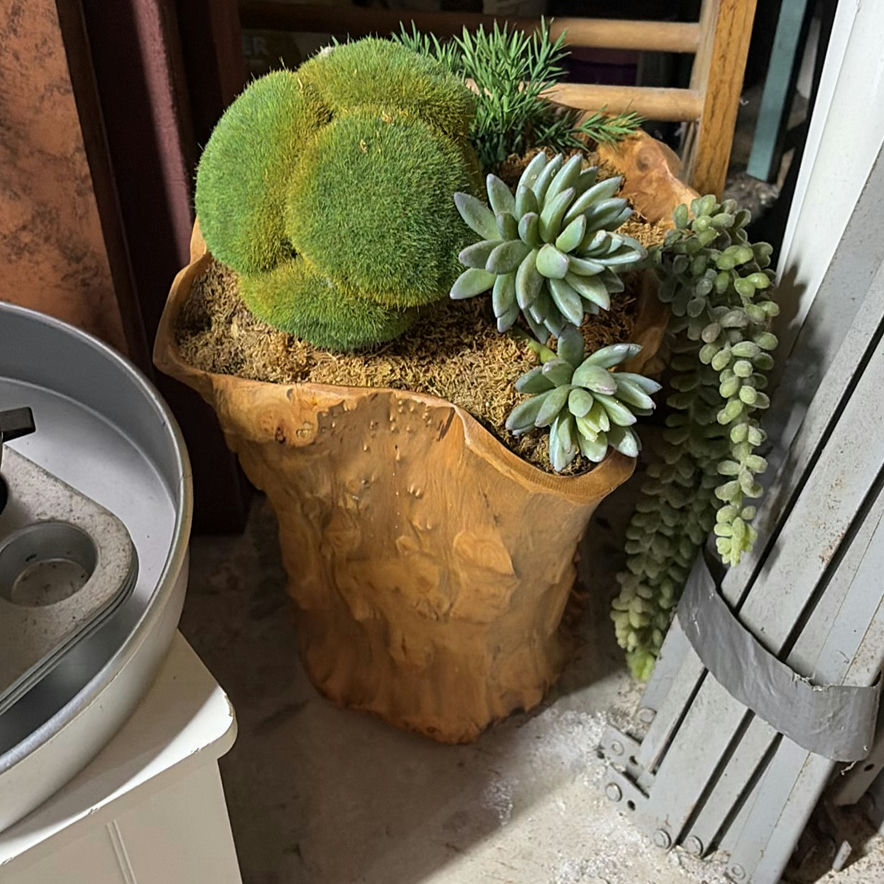 Assorted kitchenware, storage boxes, and decorative plant arrangement - image 7 of 8