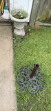 Ornate garden planters and iron umbrella stand - thumbnail 1 of 5