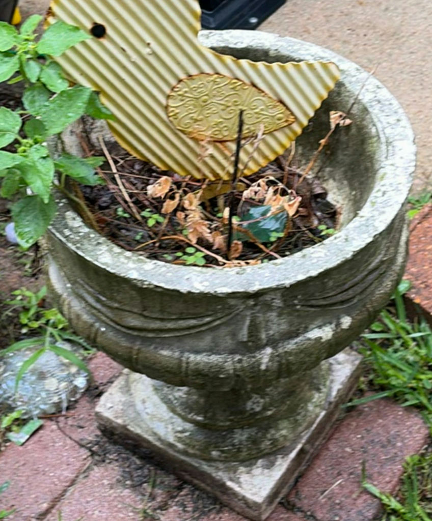Overgrown planters and containers in a yard - image 1 of 4