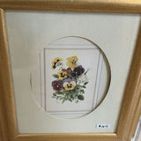 Collection of Framed Botanical and Still-Life Art - thumbnail 9 of 11