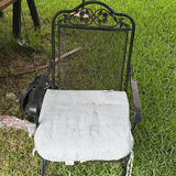 Outdoor metal chairs and decorative iron plant stand - thumbnail 6 of 6