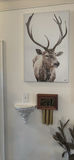 Assorted Home Decor Items - thumbnail 12 of 15