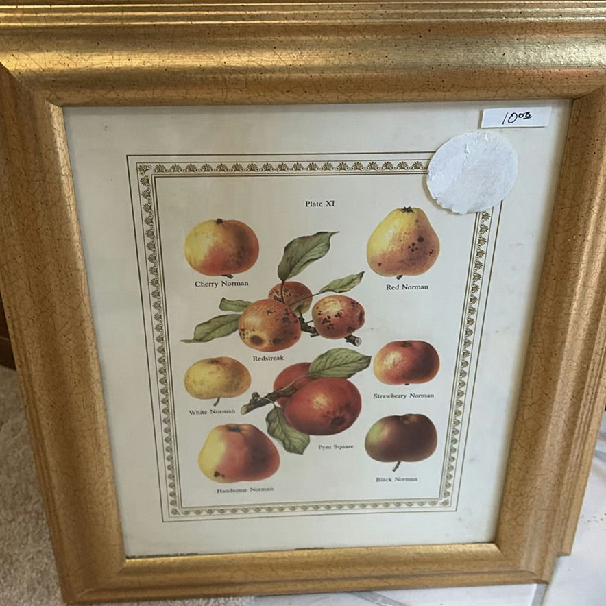Collection of Framed Botanical and Still-Life Art - image 7 of 11