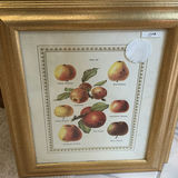 Collection of Framed Botanical and Still-Life Art - thumbnail 7 of 11