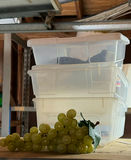 Assorted Home Decor and Textile Accessories - thumbnail 4 of 9