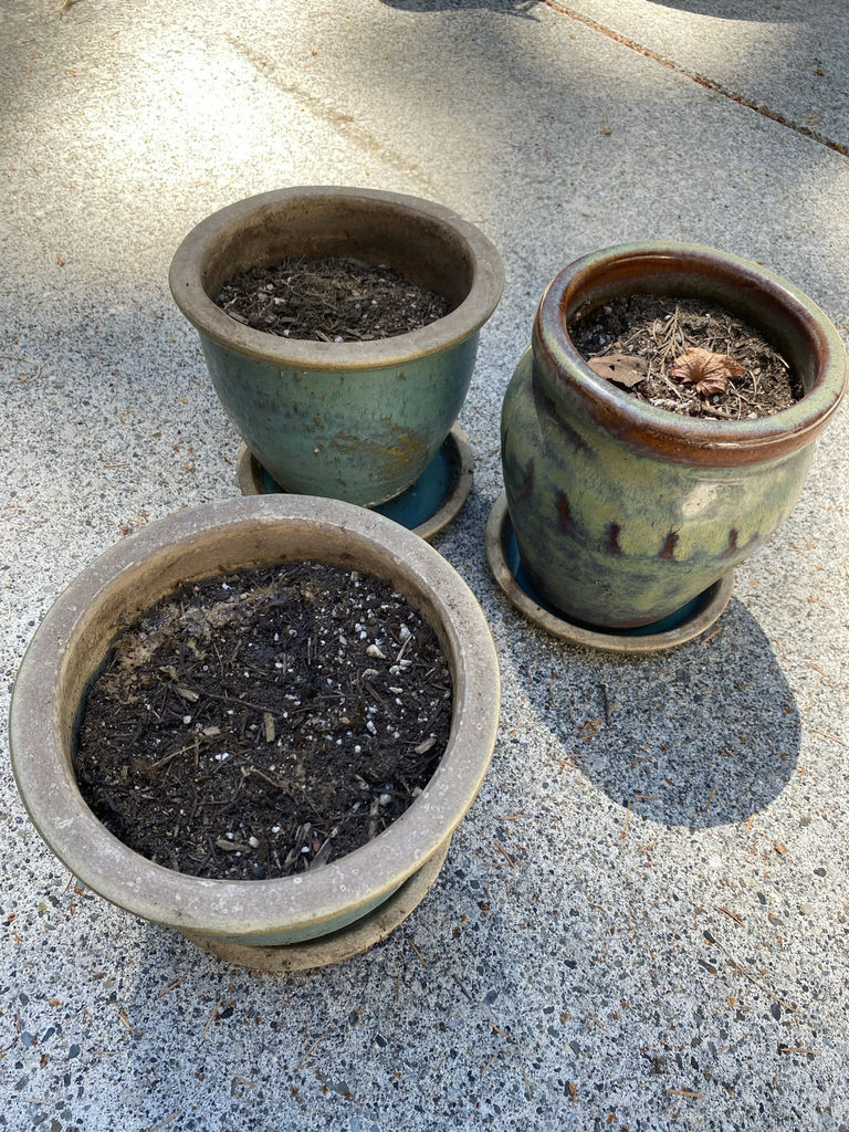 Green Garden Lot - image 2 of 5