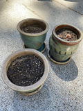 Green Garden Lot - thumbnail 2 of 5