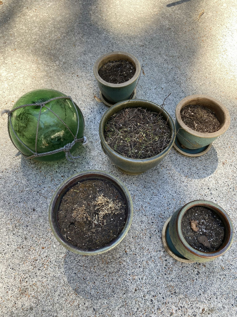Green Garden Lot - image 1 of 5