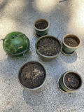Green Garden Lot - thumbnail 1 of 5