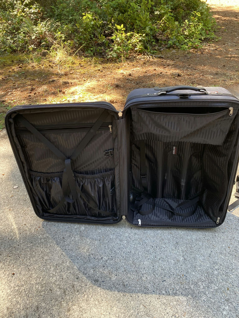 Suitcases and Backpack - image 7 of 11