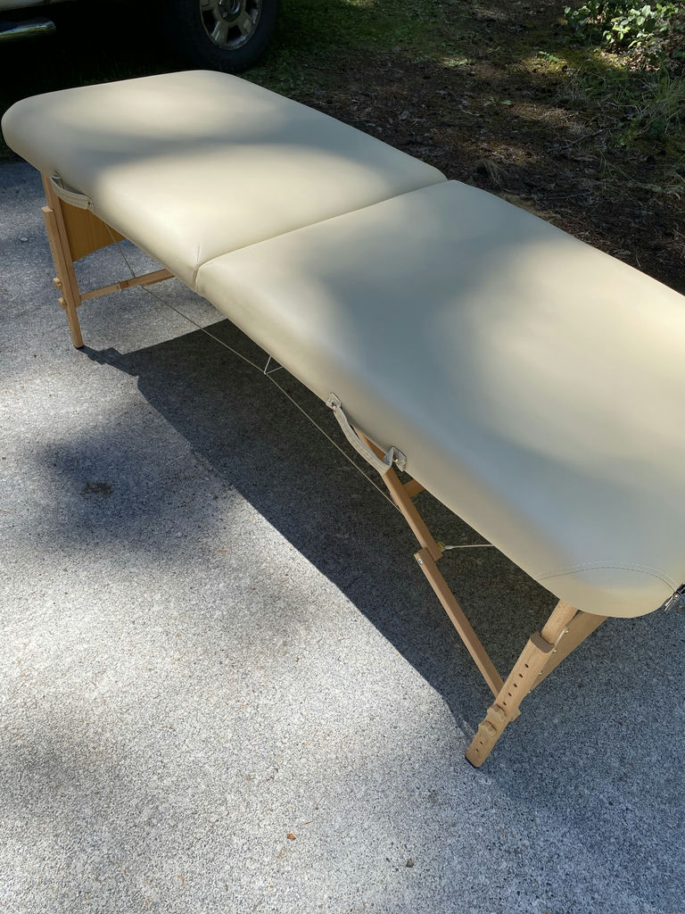 Saloniture Massage Table - image 2 of 4