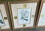 Blank Frames - thumbnail 7 of 8
