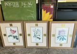 Blank Frames - thumbnail 5 of 8