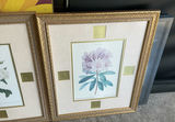 Blank Frames - thumbnail 8 of 8