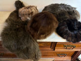 Assorted fur hats and stoles - thumbnail 1 of 4