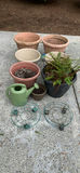 Plastic And Foam Pots - thumbnail 1 of 4