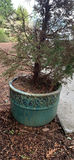 3 Larger Ceramic Pots - thumbnail 3 of 5