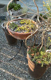 Unique Ceramic Planter On Stand And Pair Of Tall Plastic Planters - thumbnail 5 of 5