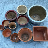Ceramic Pots - thumbnail 4 of 5