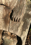 Chainsaw Weathered Bears Yard Art - thumbnail 5 of 8