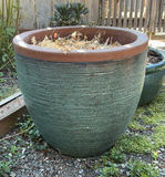 Pair Of Blue Ceramic Planters - thumbnail 2 of 5