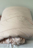 Pier 1 Queen Sized Bedding Set - thumbnail 9 of 9