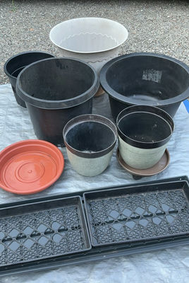 Plastic Pots - Image 1 of 5