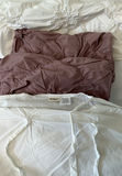 Pier 1 Queen Sized Bedding Set - thumbnail 6 of 9