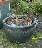 Pair Of Blue Ceramic Planters - thumbnail 4 of 5