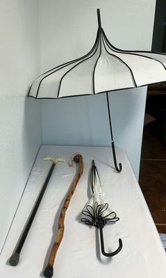 Fashionable Walking Sticks And Umbrellas - Image 1 of 4