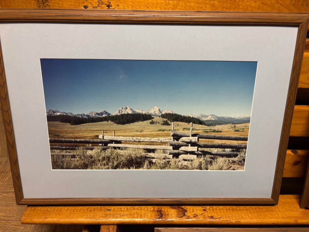 Set of 3 Prints - image 3 of 4