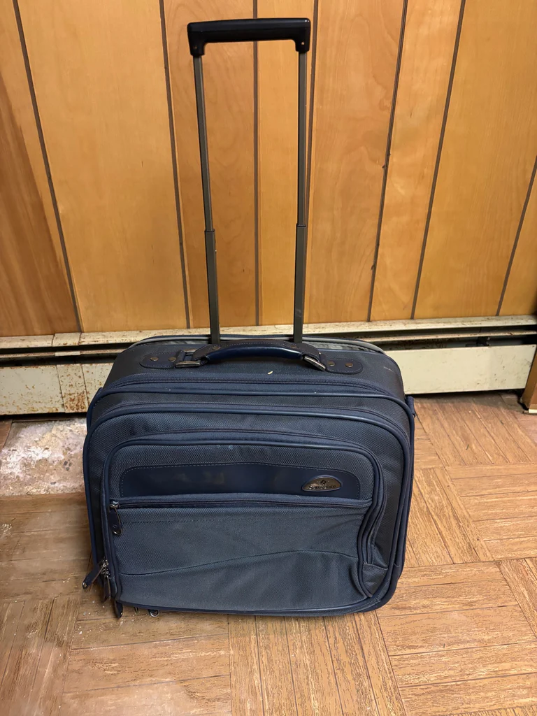 Travel Bag - image 3 of 3