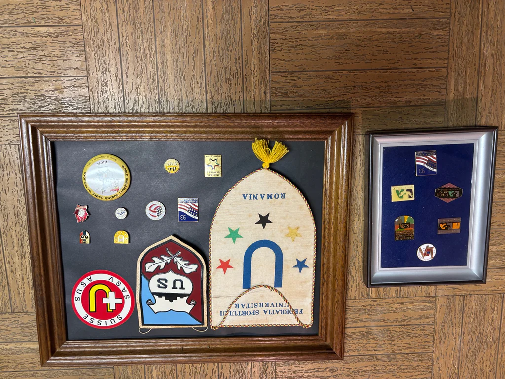 Pin Collection - image 3 of 3