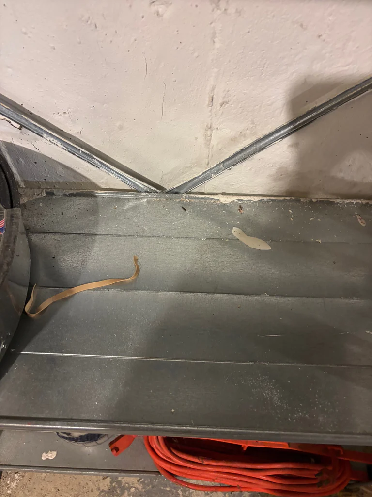 Metal Shelves - image 1 of 3