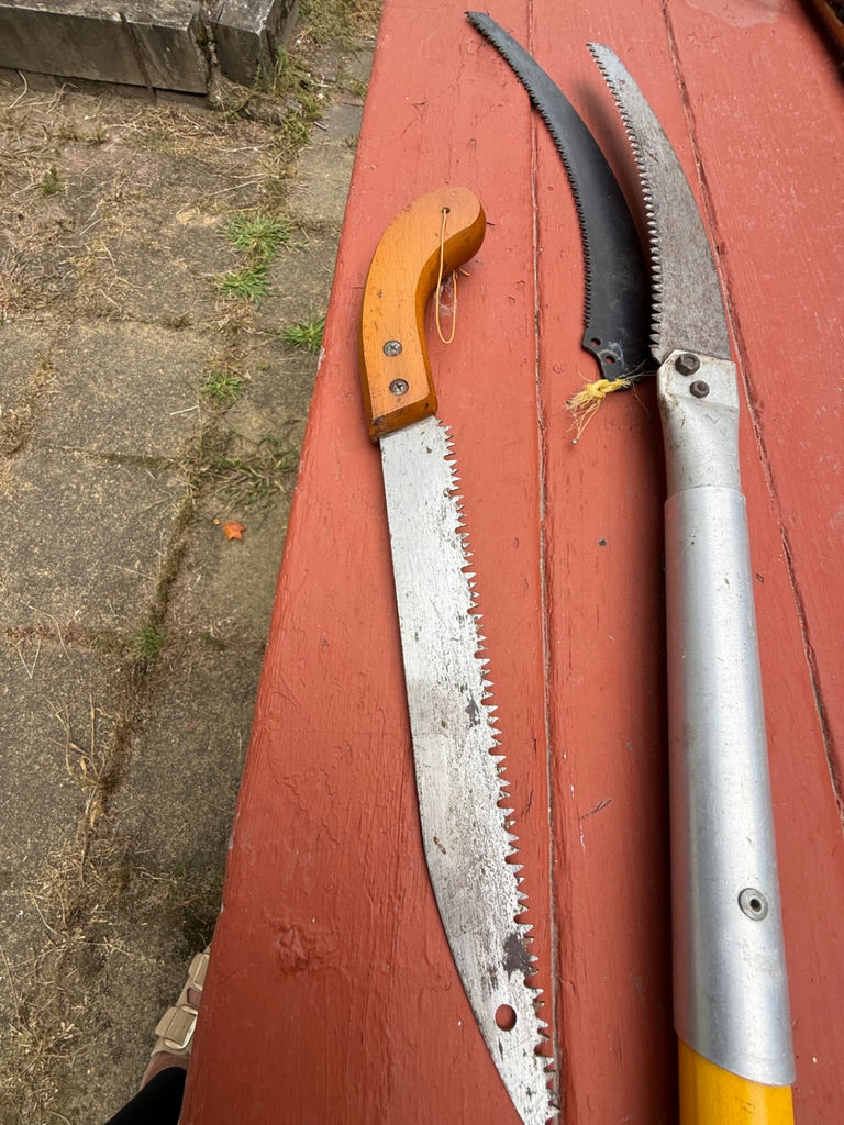 Hand Saw and Pole Pruning Saw - image 2 of 2