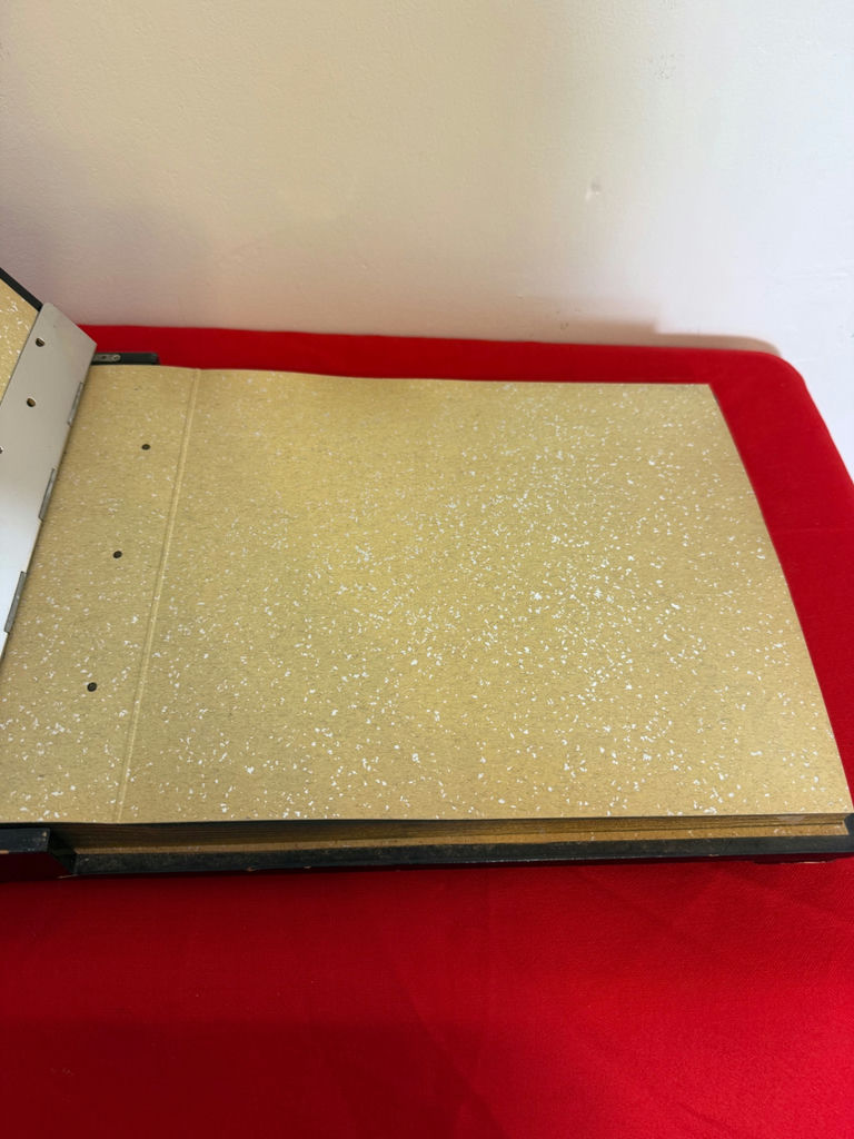 Decorative Asian-Style Photo Album - image 2 of 2