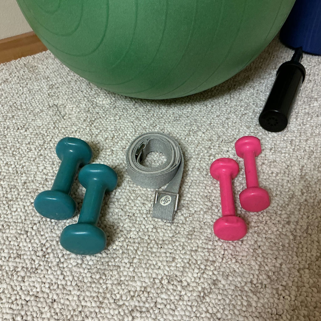 Fitness Equipment Set with Stability Ball, Mats, Foam Roller, Dumbbells, and Strap - image 2 of 3
