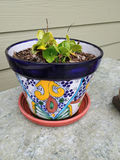 Marble topped side table, plant and decor - thumbnail 4 of 5