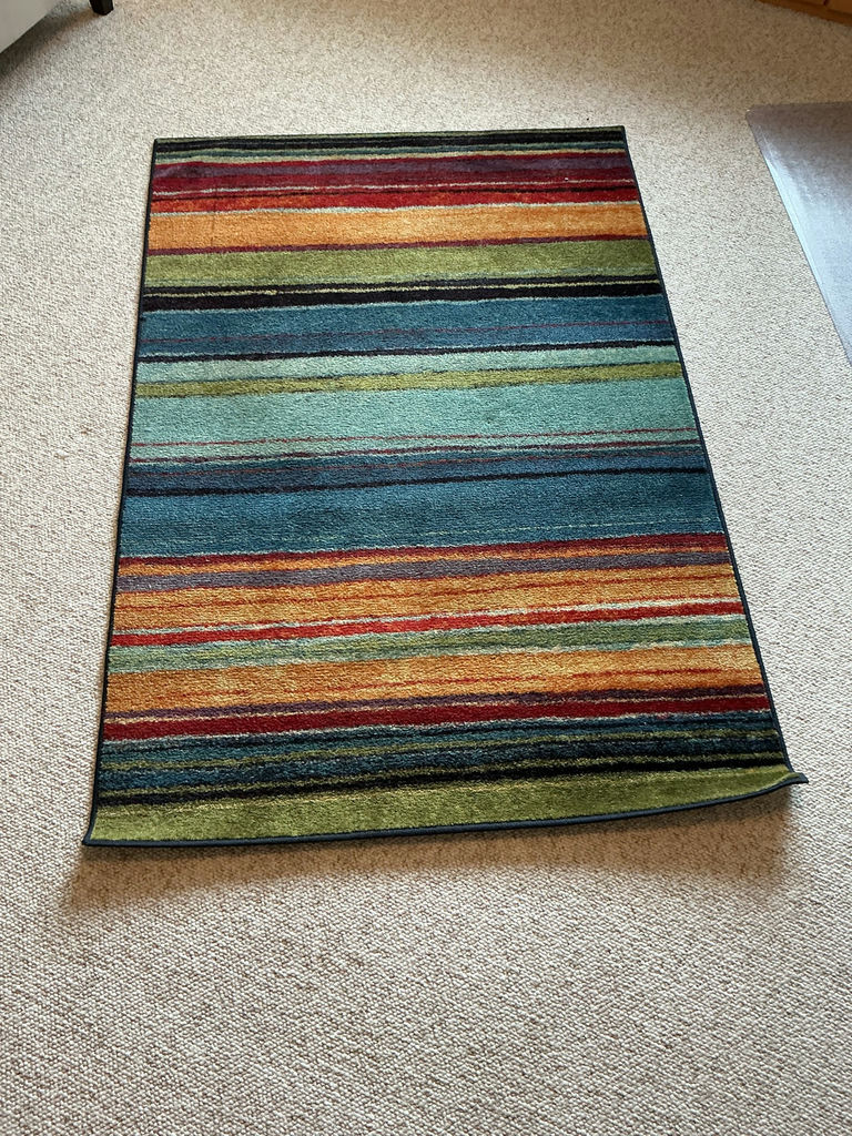 Multicolor Striped Area Rug - image 1 of 5