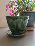 Small Christmas Cactuc & Orchid, Vintage Ceramic Pots - thumbnail 2 of 6