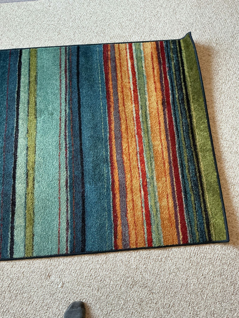 Multicolor Striped Area Rug - image 5 of 5
