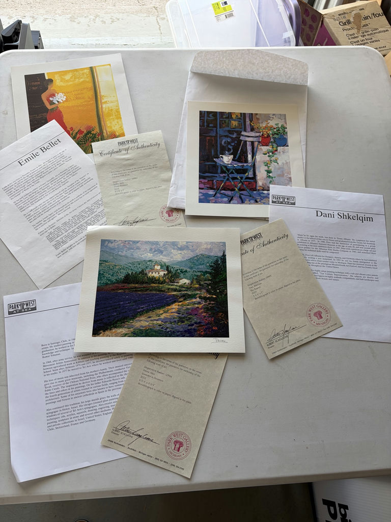 Art Purchased On Cruises - image 1 of 12