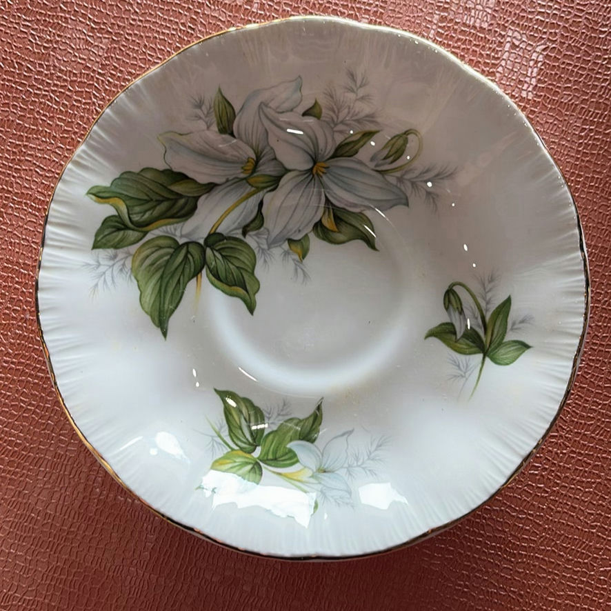 Paragon Trillium Cup And Saucer And More - image 4 of 14