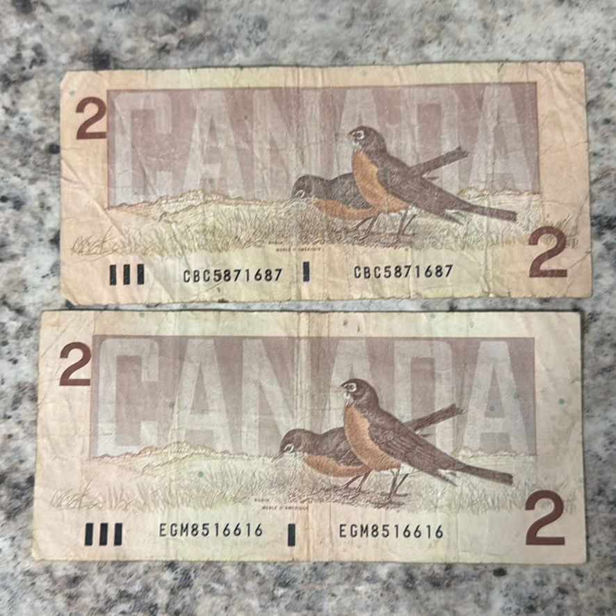 $53 In Canadian Currency - image 11 of 12
