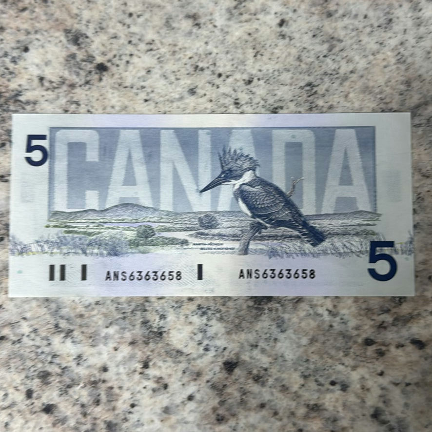 $53 In Canadian Currency - image 3 of 12