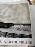 Newfoundland Art - thumbnail 21 of 23