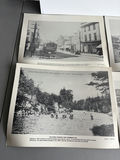 Newfoundland Art - thumbnail 4 of 23