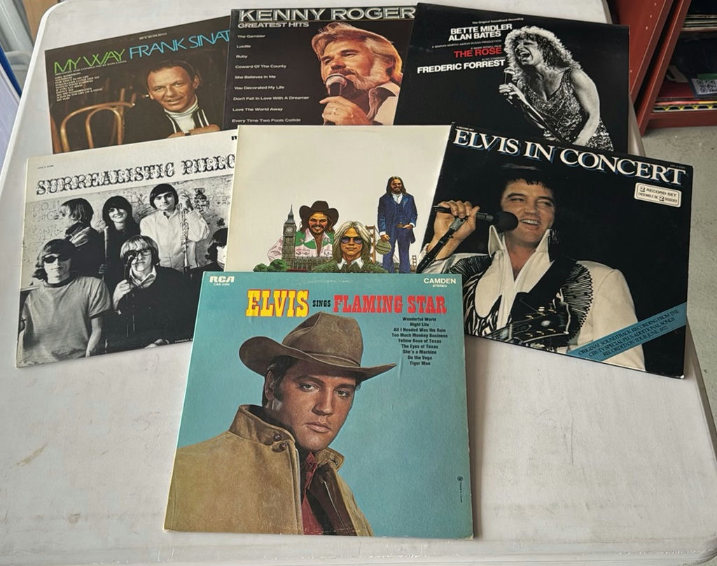 Elvis Records And More - image 1 of 15